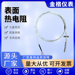 端面PT100 鉑熱電阻溫度傳感器防水高溫WZPM-201電機軸承表面探頭