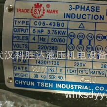 S.Y台灣群策3.75KW液壓油泵用電機C05-43B0卧式電動機5HP-4P