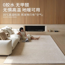 素色防水無膠地毯沙丘簡約高級感抗污抑菌客廳卧室暖色大面積地墊