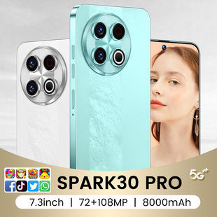 羳֙CSpark30Pro16G+1TB֙C5GWj׿13SF؛