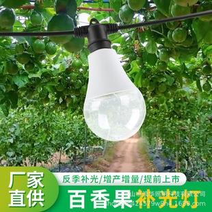 全光譜植物補光燈a60百香果火龍果種植生長燈戶外防水植物球泡燈