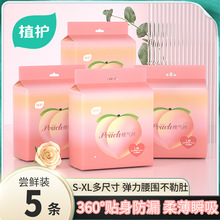 植護安睡褲女安心褲衛生巾衛生褲褲型夜用姨媽巾5片裝/包廠家批發