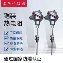 耐高溫鎧裝熱電阻工業pt100熱電阻WZP-230熱電阻裝配式防爆熱電阻