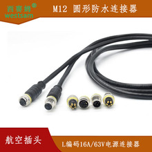 M12 L編碼電源接頭 4+PE雙頭電源線傳感器