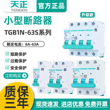 TENGEN天正TGB1N-63S空氣開關1P2P3P4P空開斷路器32A家用63A電閘