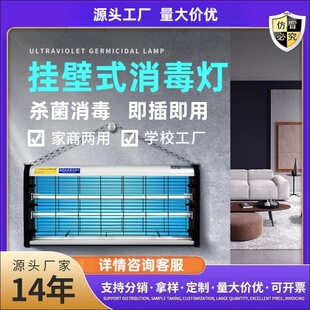 壁掛式紫外線消毒燈學校餐廳醫院紫外線殺菌燈懸掛式消毒燈有臭氧