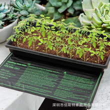 植物加熱墊大歐美日澳廠家跨境防水育苗墊石墨烯電熱膜育苗加熱墊