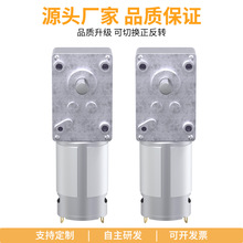5840-555渦輪蝸桿微型直流減速電機立式調速小型馬達12V24V電動機