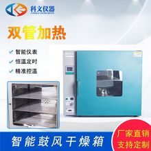 DHG系列電熱鼓風干燥箱 實驗室數顯恆溫干燥箱烘箱烤箱型號齊全
