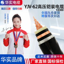 湖北批發電力電纜三相電纜線YJV國標純銅鋼絲鎧裝阻燃絕緣YJV-62