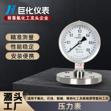 廠家直供壓力表YTPH-100F2B徑向隔膜 壓力表