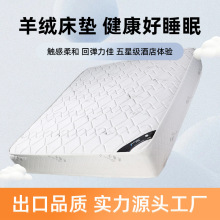 離子白酒店床墊酒店銀離子床墊軟墊學生宿舍墊被家用墊褥加厚床墊