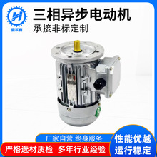 廠家直供三相異步電動機 卧式微型直流減速馬達電機交流三相電機