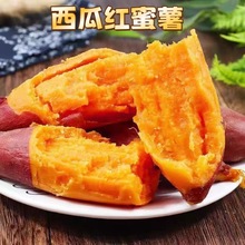 福建地瓜軟糯沙地紅心蜜薯西瓜紅農產品廣東新鮮10斤番薯產地直發