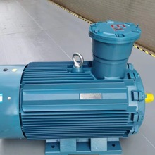 遠中電機 YBBP系列隔爆型變頻調速三相異步電動機0.55-315KW電機