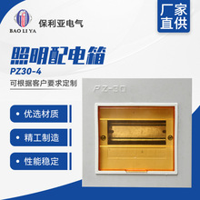 原廠家直供明裝PZ30_4回路 PZ30系列照明配電箱用電設備明暗配