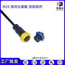工廠批發 M25自鎖對接面板插座接頭電源配信號防水插頭連接線