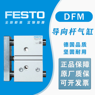 U DFM-32-100-P-A-GF  170860 FESTOM˹ ȫԭb