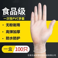 家用防護一次性PVC手套食品級餐飲防護美容院檢查家用廚房烘焙