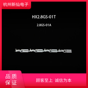 HX2.8GS-01T-4.8/6.3ֱ厧i-tB / 100ֻ