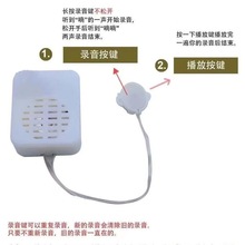 幼兒園一對一傾聽毛絨玩具錄音器錄音機芯錄音盒發聲器表白神器