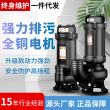 潛水泵防汛地下室排水三相大流量污泥污水泵泥漿排污泵一件代發