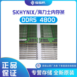 múʿȴl DDR5 32GB 4800 RDIMM HMCG88MEBRA174N