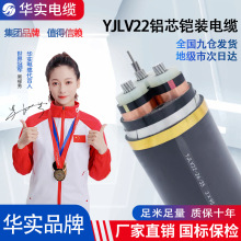 YJLV22國標鋁芯電纜線高壓鋁線鎧裝電力電纜三相四線3*35 批發