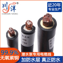 川洋潛水線單芯jhs防水線 工廠供應噴泉專用電纜潛水泵電纜純銅芯