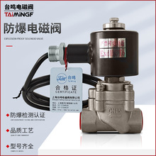 隔爆型電磁閥廠家 防爆電磁閥 12v 24v 220v 380v