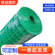 定制荷蘭網加粗硬塑鐵絲網圍欄攔雞專用養鴨養殖網小孔包塑電焊網