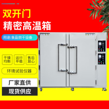 2025精密高溫箱 真空干燥箱電熱恆溫鼓風干燥箱雙開門高溫試驗箱