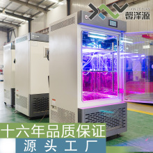 恆溫恆濕箱源頭工廠現貨 上海馨澤源恆溫培養箱質保三年