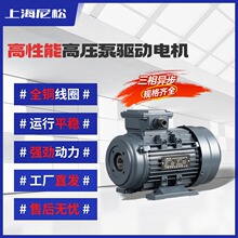 熱銷 三相異步內軸電機 380V內插軸 卧式驅動電機 B34 高性能純銅