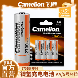 Camelionw{5̖/AA懚늳2700r4/b