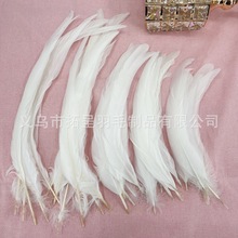 白色公雞尾羽毛裝飾DIY飾品發飾材料配件服裝輔料捕夢網攝影道具
