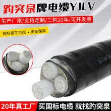 山東鋁電纜國標低壓架空線三相鎧裝絕緣三芯YJLV22鋁芯電力電纜