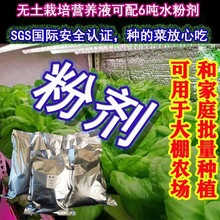 儒風無土栽培水培葉菜草莓黃瓜西瓜番茄營養液粉劑果蔬