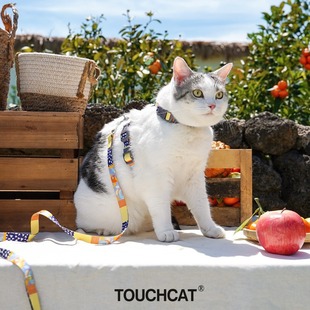 Touchcat؈䠿Kر؈ʺyͨ