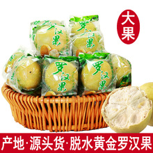羅漢果廠家批發 低溫脫水黃金羅漢果茶 廣西桂林永福農產品花果茶