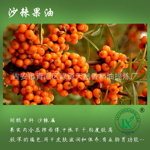 ɳSeabuckthorn Oil ȻɳzɳͻyƷԭ