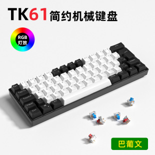 TK61ęCеIP RGBЧtSʽk늸оIP