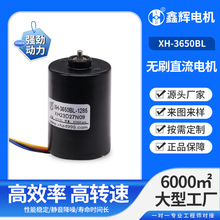 3650微型馬達低壓大功率高轉速 電動工具風扇吸塵器無刷直流電機