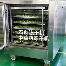 30平方葯材凍干機 靈芝石斛花低溫冷凍干燥機 中草葯真空凍干機廠