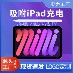 o늹PmOݹPApple PenciliPad|֌P