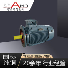 河北西瑪電機定制生產YE5-8極2.2-250kw超高效三相異步電動機