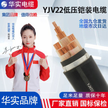 湖北廠家YJV22國標純銅低壓電纜批發工程電纜線鎧裝埋地電力電纜
