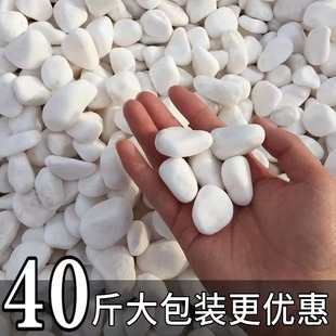 40斤天然水洗白石子黑石子礫石庭院花園景觀造景盆載園藝裝飾鋪地