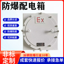 工業防爆箱 儀表電力檢修控制箱 照明接線箱400*300空箱 各種型號