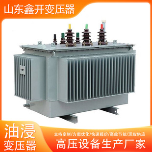 s11-250kva10/0.4kv200kw~160ǧ125ǧ100ͽʽ׃